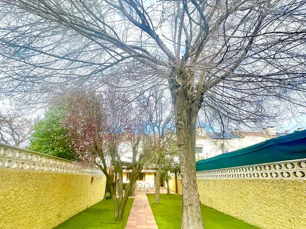 Chalet adosado en calle Fresno, 28 - Foto 40