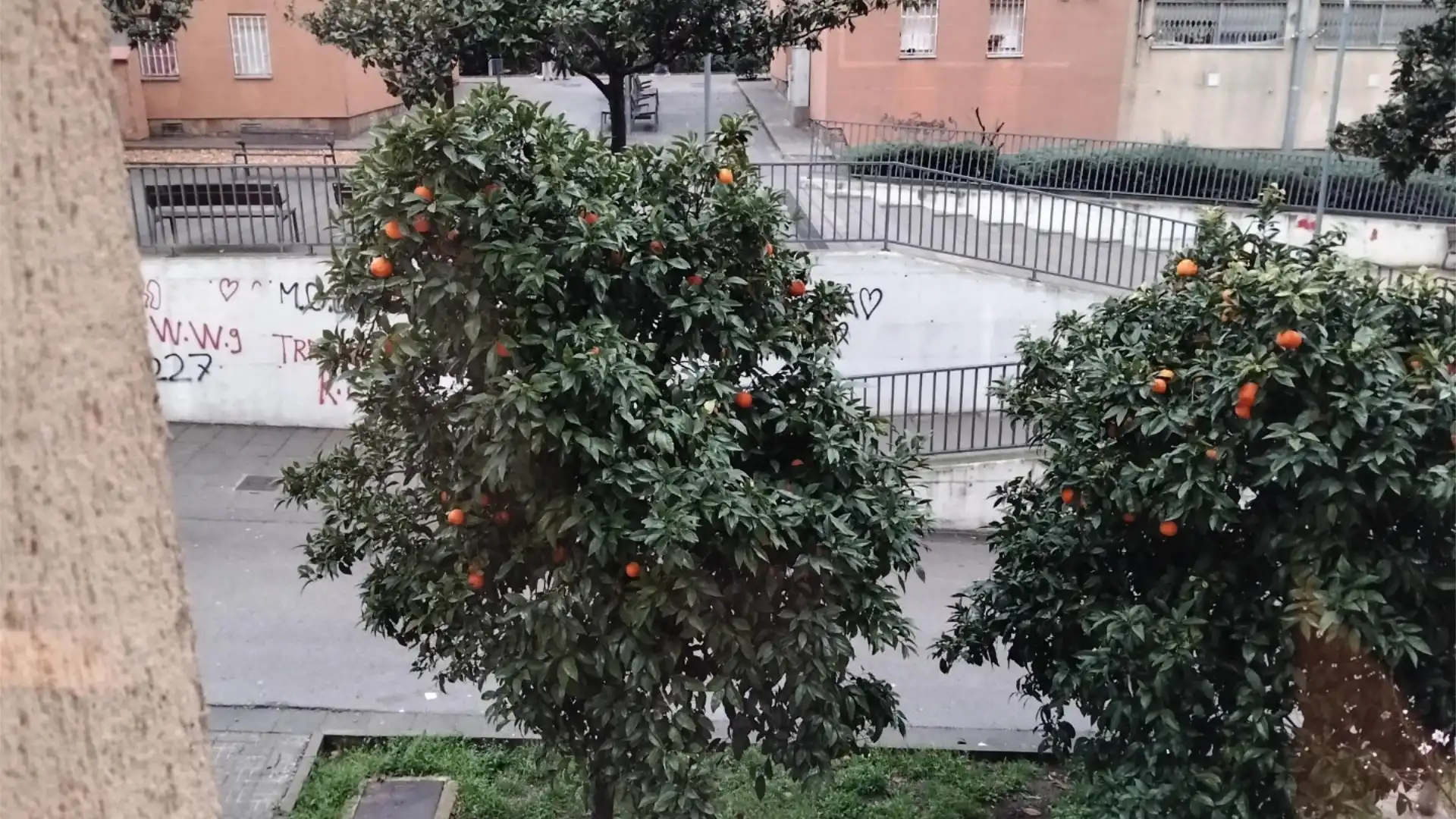 Piso en  Diseminado Torrebonica 1J - Foto 1