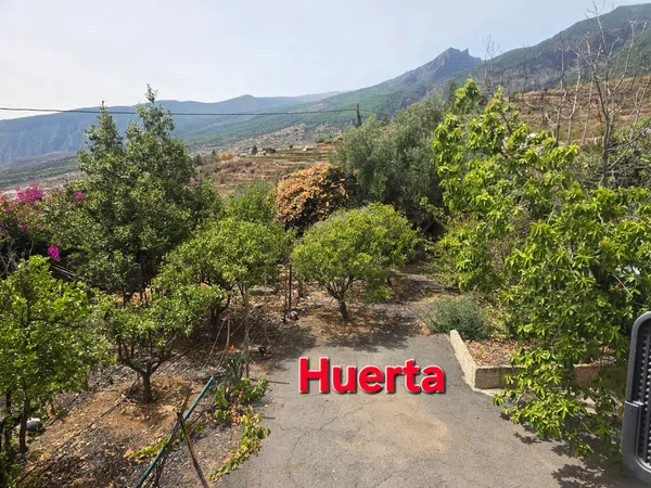 Finca rústica en Camino Los Barranquillos, 9 - Foto 7