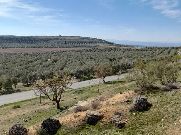 Casa de pueblo en Pozo Alcon - Foto 30