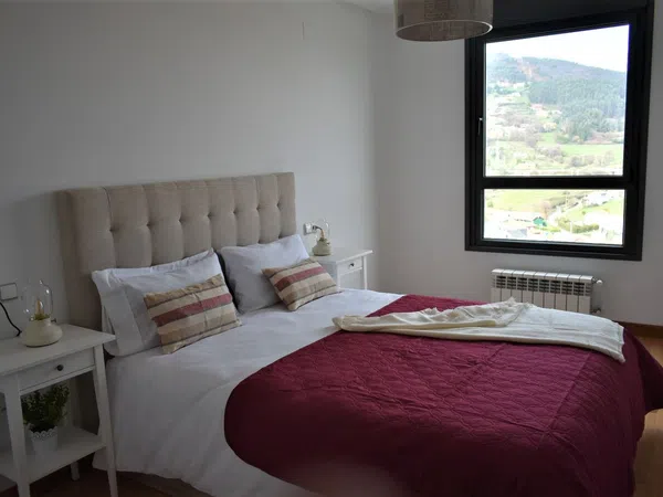 Piso en calle Juan Antonio Álvarez Rabanal, 9 - Foto 13