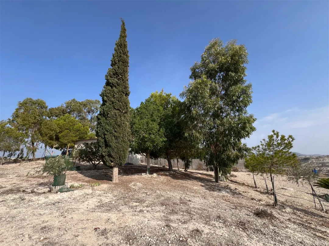 Finca rústica en  Calle Cordel de los Valencianos 2 - Foto 6