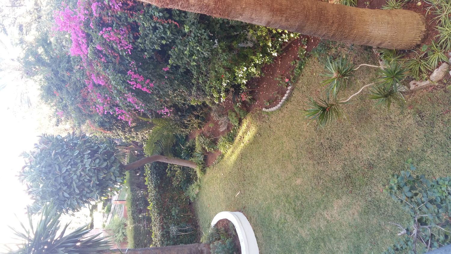 Piso en calle República Argentina, 29 - Foto 30