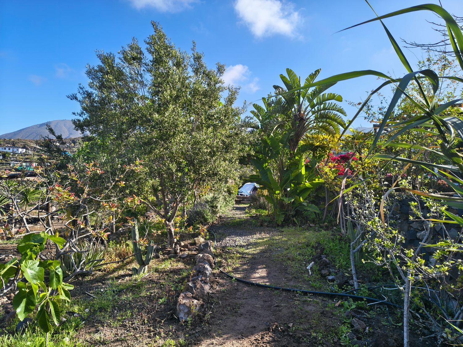 Estudio en Tf-82, 10 - Foto 9