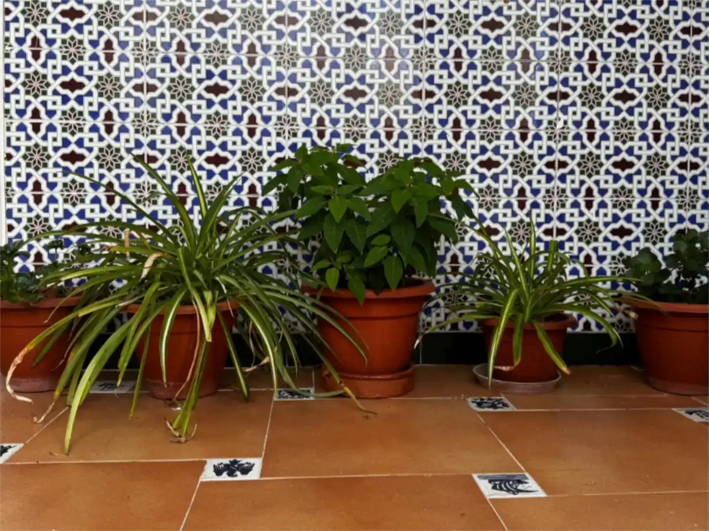 Piso en  Calle los Barrios 21 - Foto 57