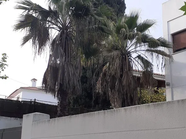 Casa o chalet independiente en Avenida de la Arruzafa, Brillante - Foto 12