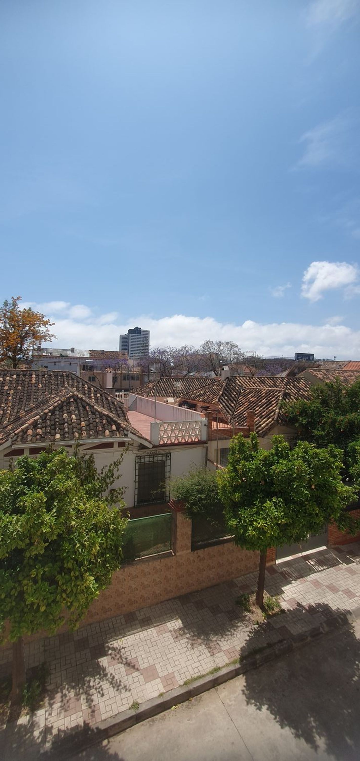 Piso en Ciudad Jardín - Foto 25