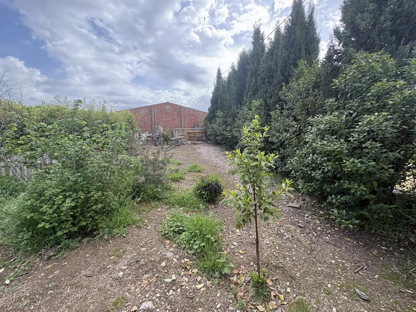 Finca rústica en  Calle Pozo Nuevo 8D - Foto 19