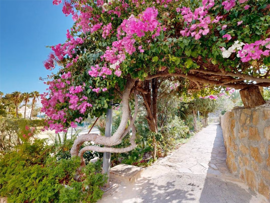 Apartamento en  Carrer Noruega 12 - Foto 17