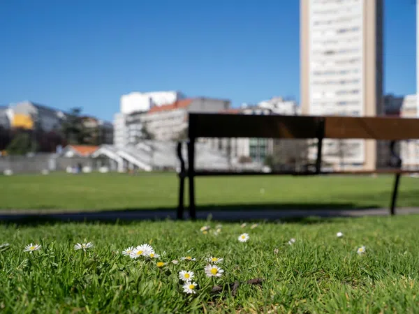 Piso en calle Manuel Piñeiro Pose, 10 - Foto 29