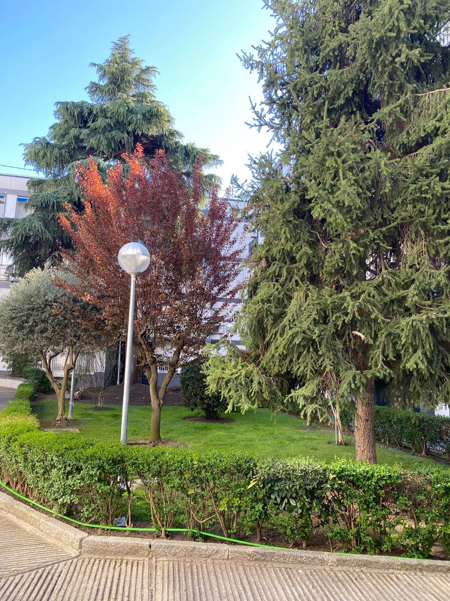 Estudio en calle Tahona, 7 - Foto 1