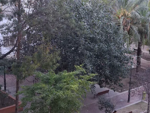 Piso en Calle de l'Enginyer Vicent Pichó, Camí de Vera - Foto 6