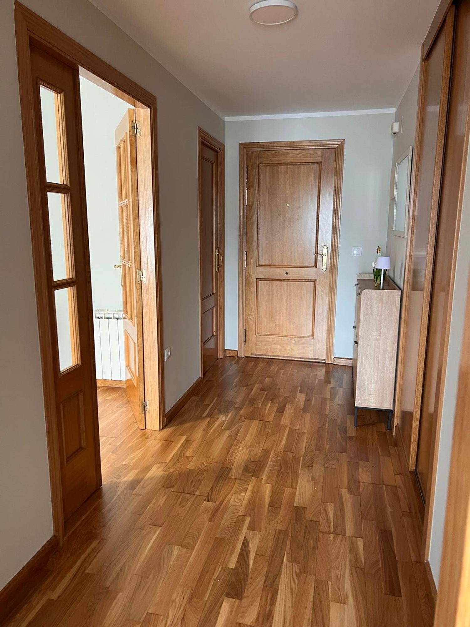 Piso en Calle Pascual Fernández, 2, La Rosaleda, La Rosaleda - Foto 6