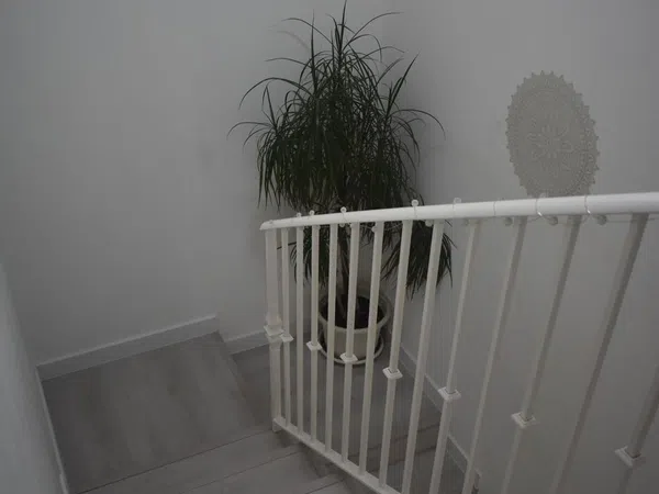 Casa o chalet independiente en Calle de San Manuel, 18, Parque Europa - Los Pitufos, Parque Europa - Los Pitufos - Foto 11