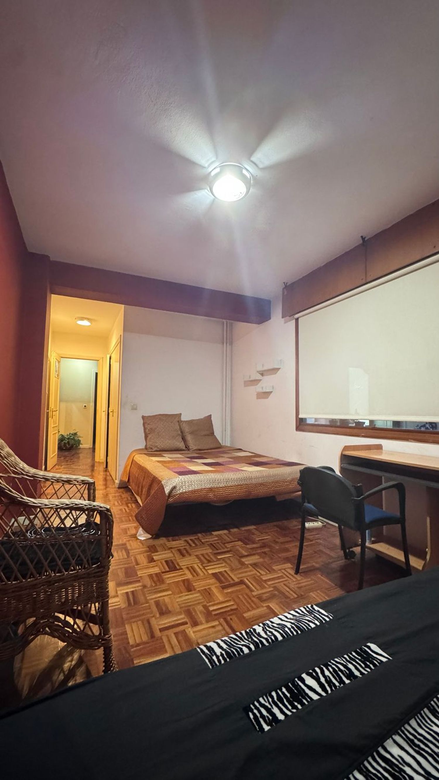 Piso en calle de Pizarro, 51 - Foto 2