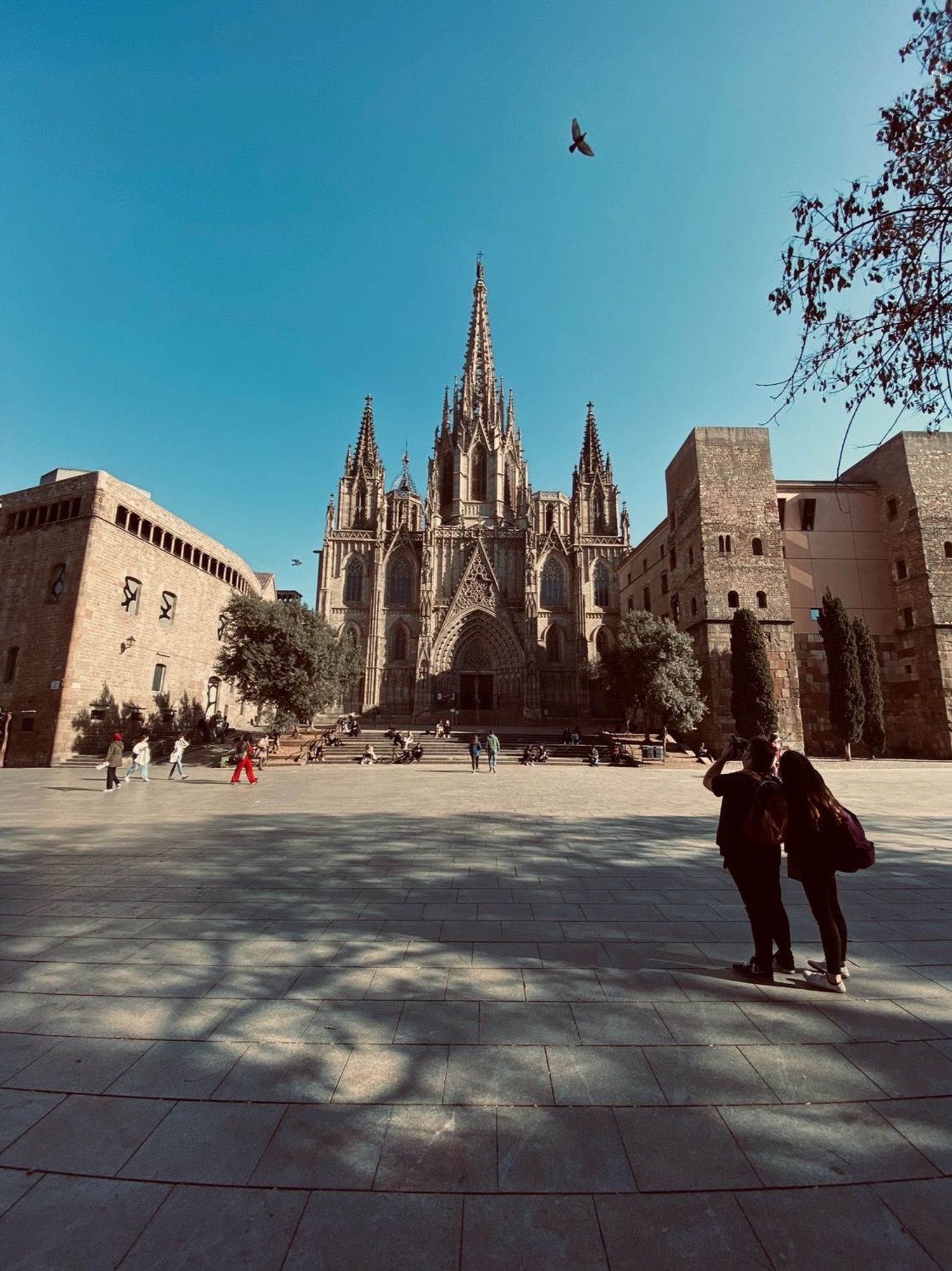 Piso en Ronda de Sant Pere, La Dreta de l'Eixample - Foto 25