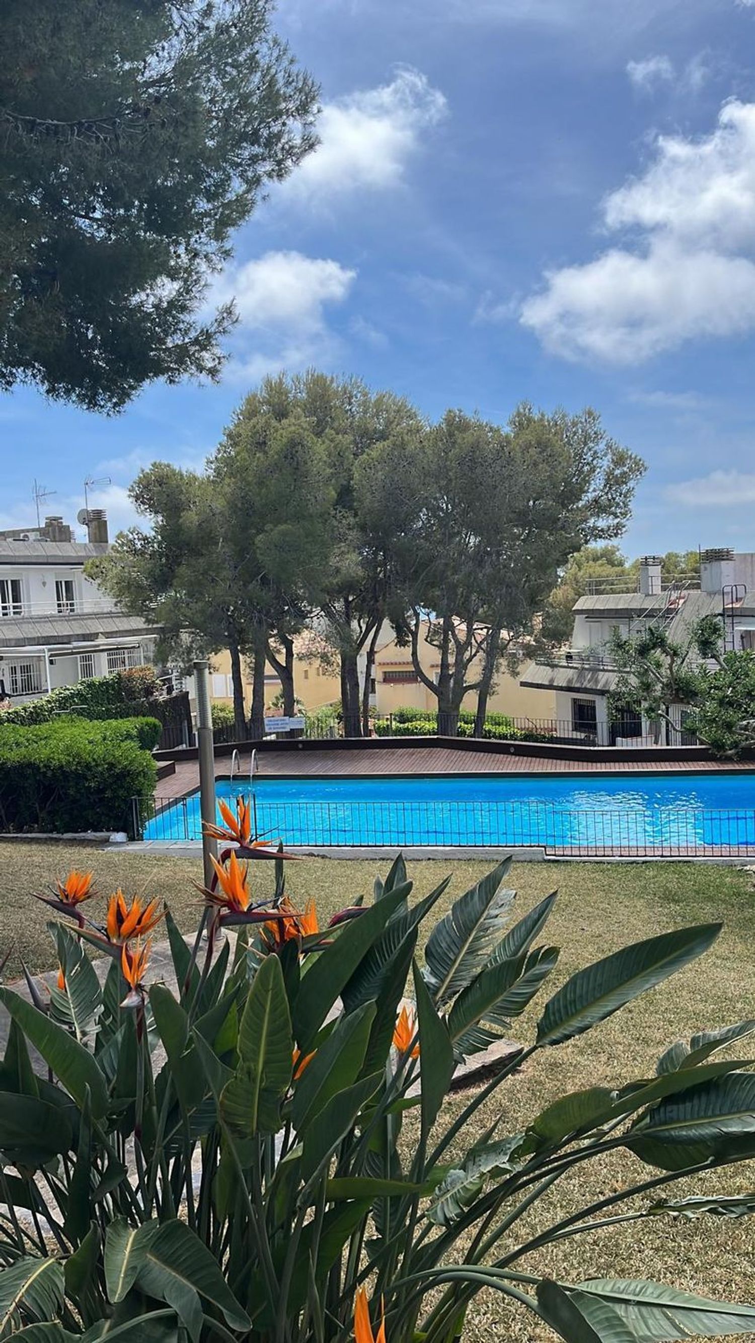 Chalet pareado en Paseo pujades, 7, Vallpineda-Santa Bárbara - Foto 4