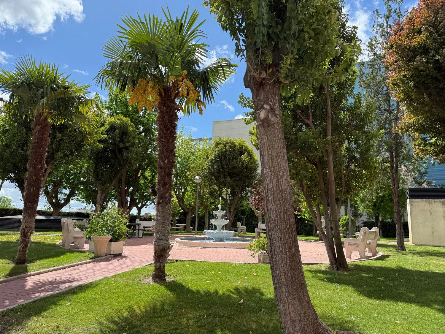 Piso en plaza de Patricio Aguado, 3 - Foto 20