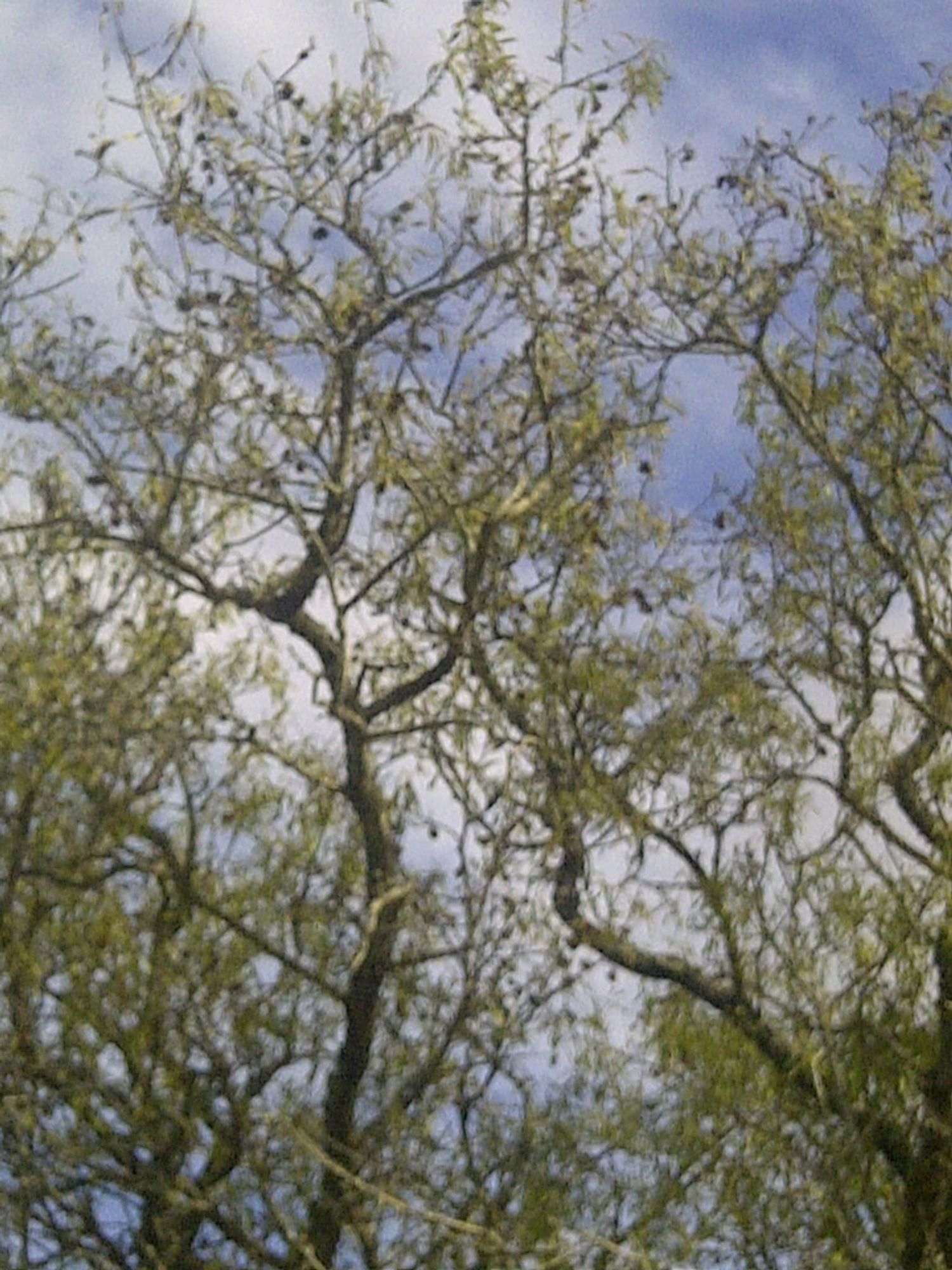 Casa independiente en camino de Melilla s/n - Foto 21