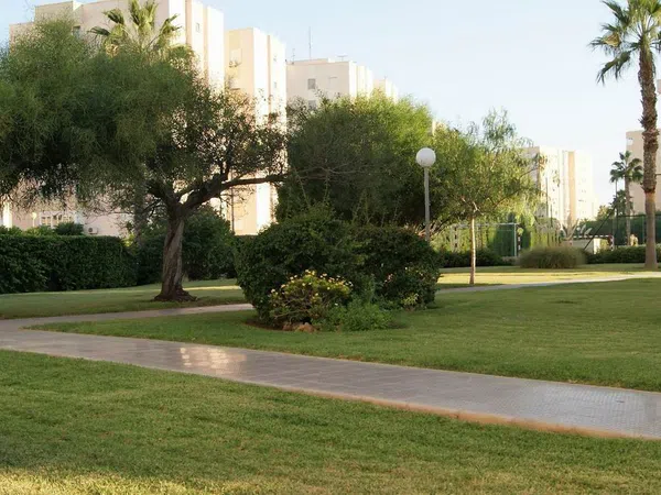 Piso en Calle Músico Agustín Bertomeu, 4, El Palmeral-Urbanova-Tabarca - Foto 14