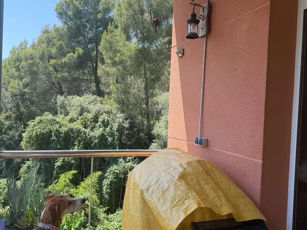 Casa o chalet independiente en Calle de José Echegaray, 31, Sant Muç - Castellnou - Can Mir, Sant Muç - Castellnou - Can Mir - Foto 37