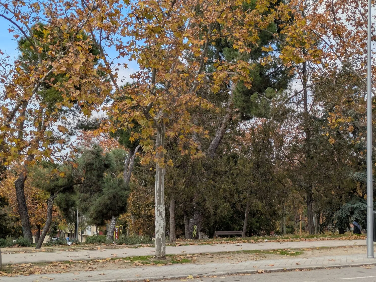 Piso en Barrio Amposta - Foto 12