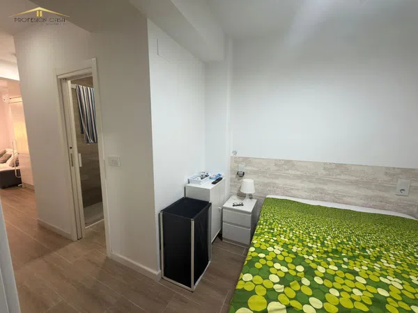 Estudio en Huelin, Huelin - Foto 11