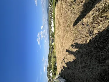 Finca rústica en  Travesía Ayuntamiento 4 - Foto 4