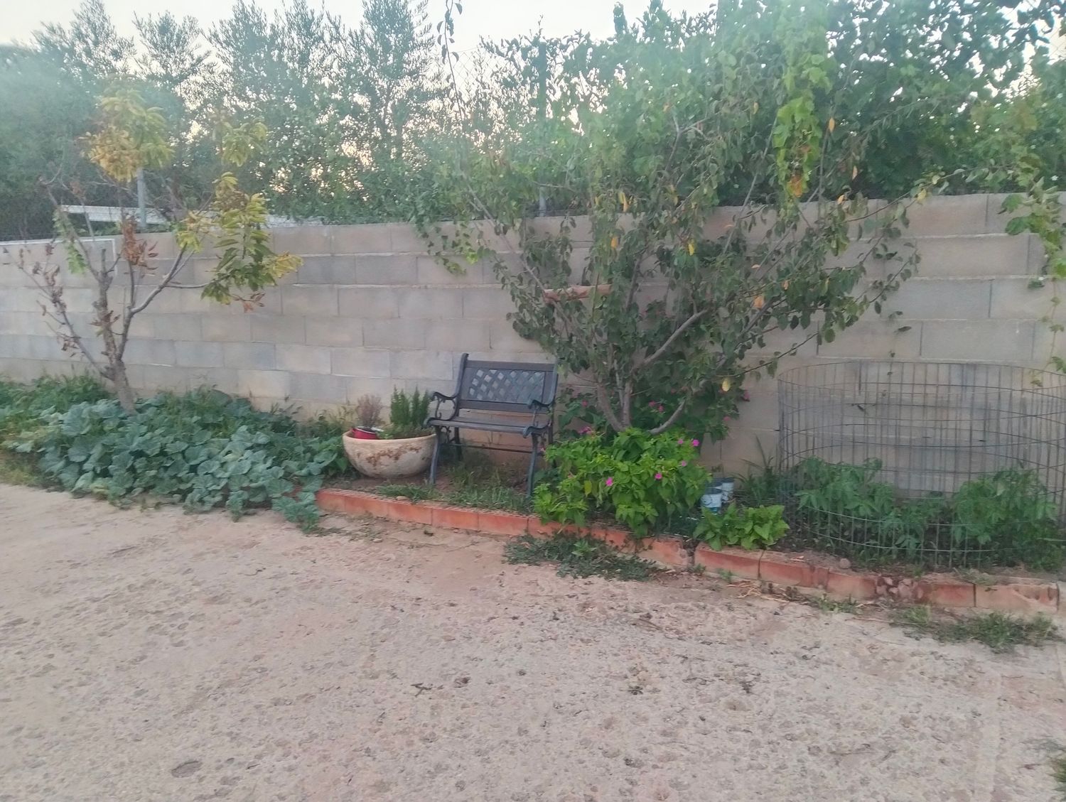 Finca rústica en El Camí de Constantí, 16 - Foto 9