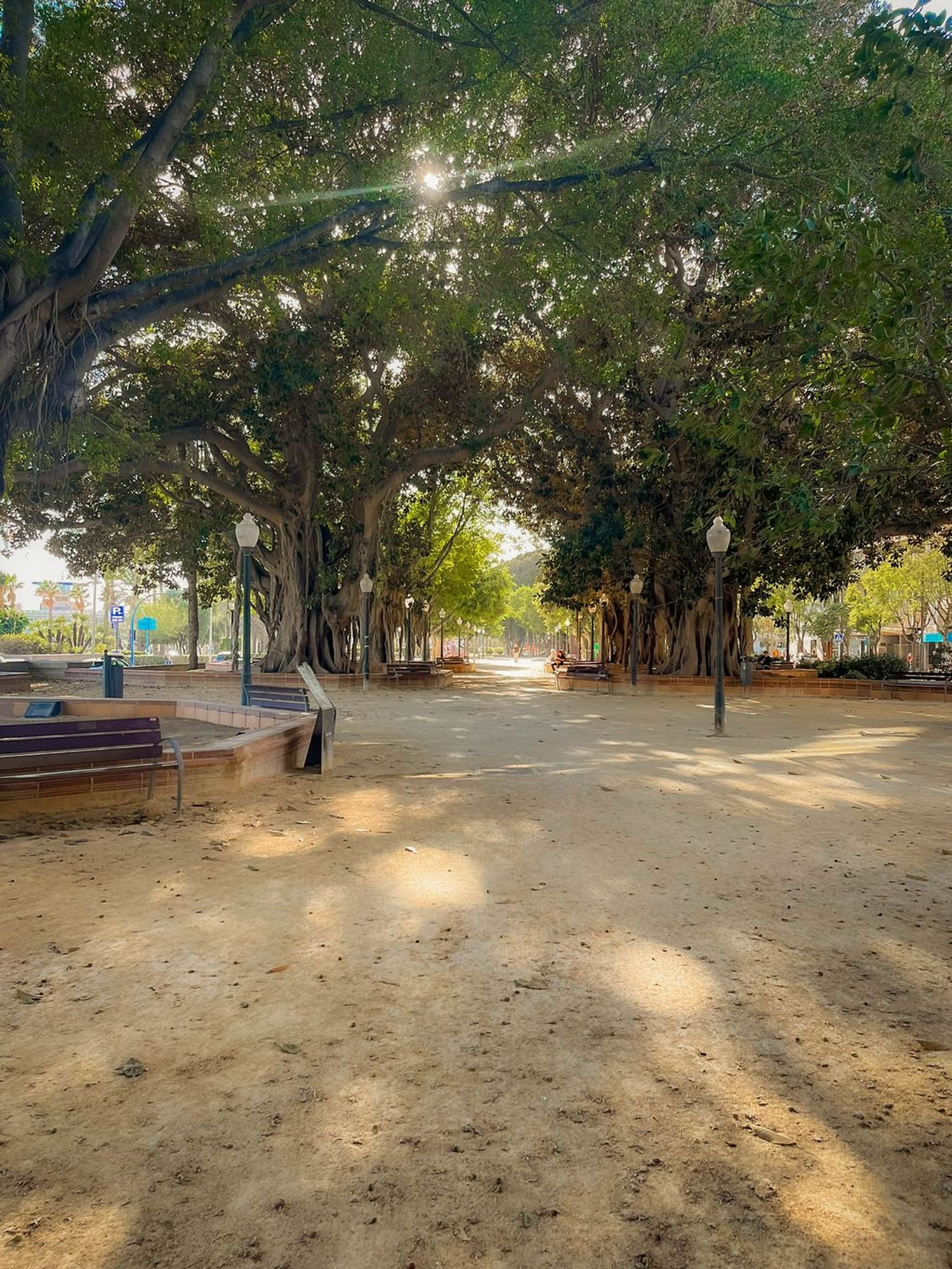 Piso en avenida de Ramón y Cajal, 8 - Foto 14