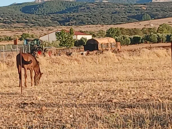 Casa rural en Plaza de Cervantes, 3 - Foto 25
