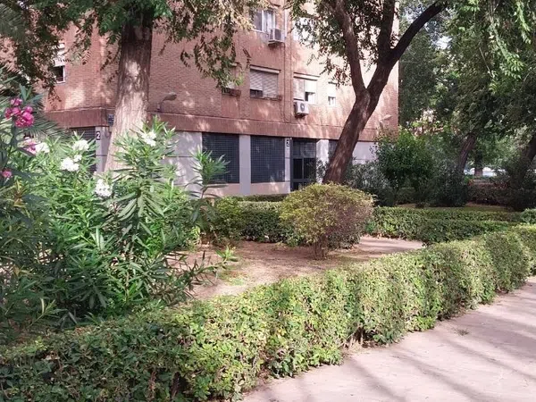 Piso en Plaza Poeta Badenes, 2, Na Rovella - Foto 27