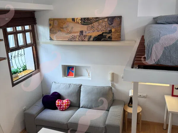 Estudio en Calle de la Torrecilla del Leal, 30, Lavapiés-Embajadores - Foto 9