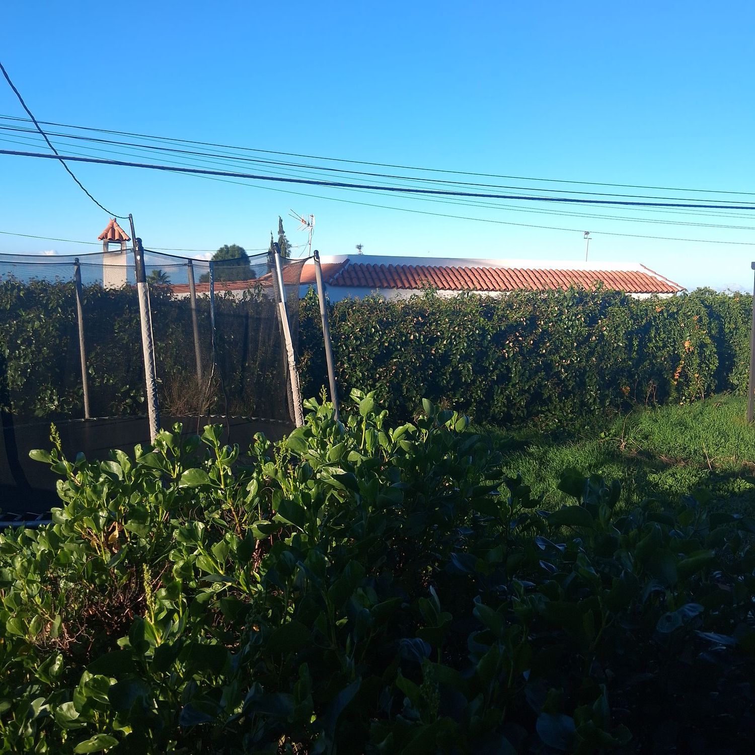 Casa independiente en taucho s/n - Foto 4