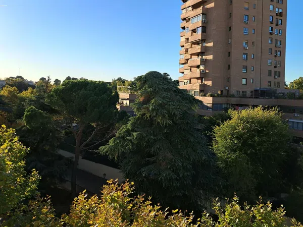 Piso en calle de la Anunciación, 12 - Foto 3