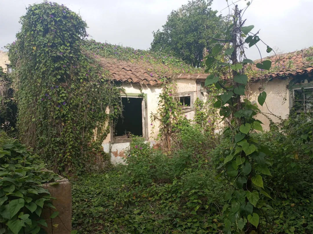 Chalet en  Calle la Caridad 113 - Foto 4