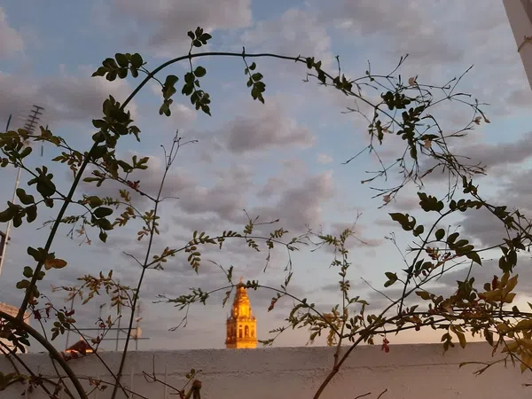 Ático en calle Blanco Belmonte, 15 - Foto 26