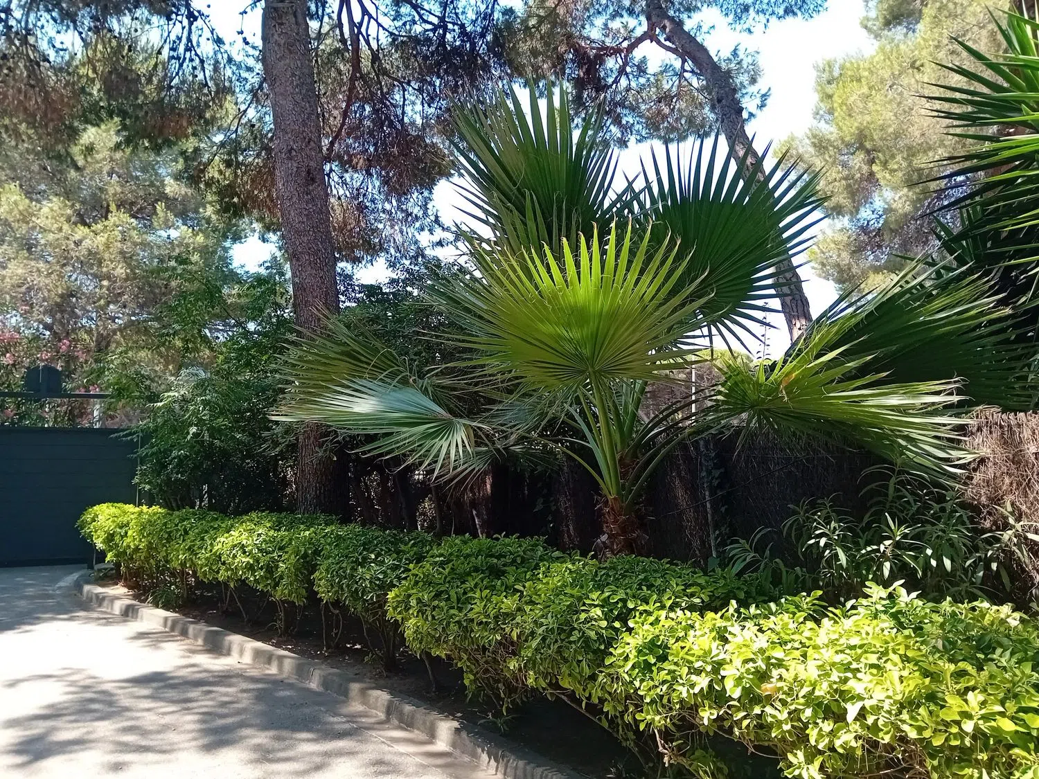 Estudio en Gavà Mar - Foto 40