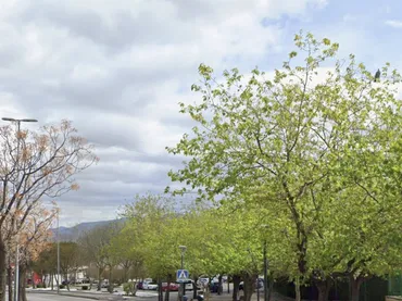 Piso en  Avenida Granada 30 - Foto 2