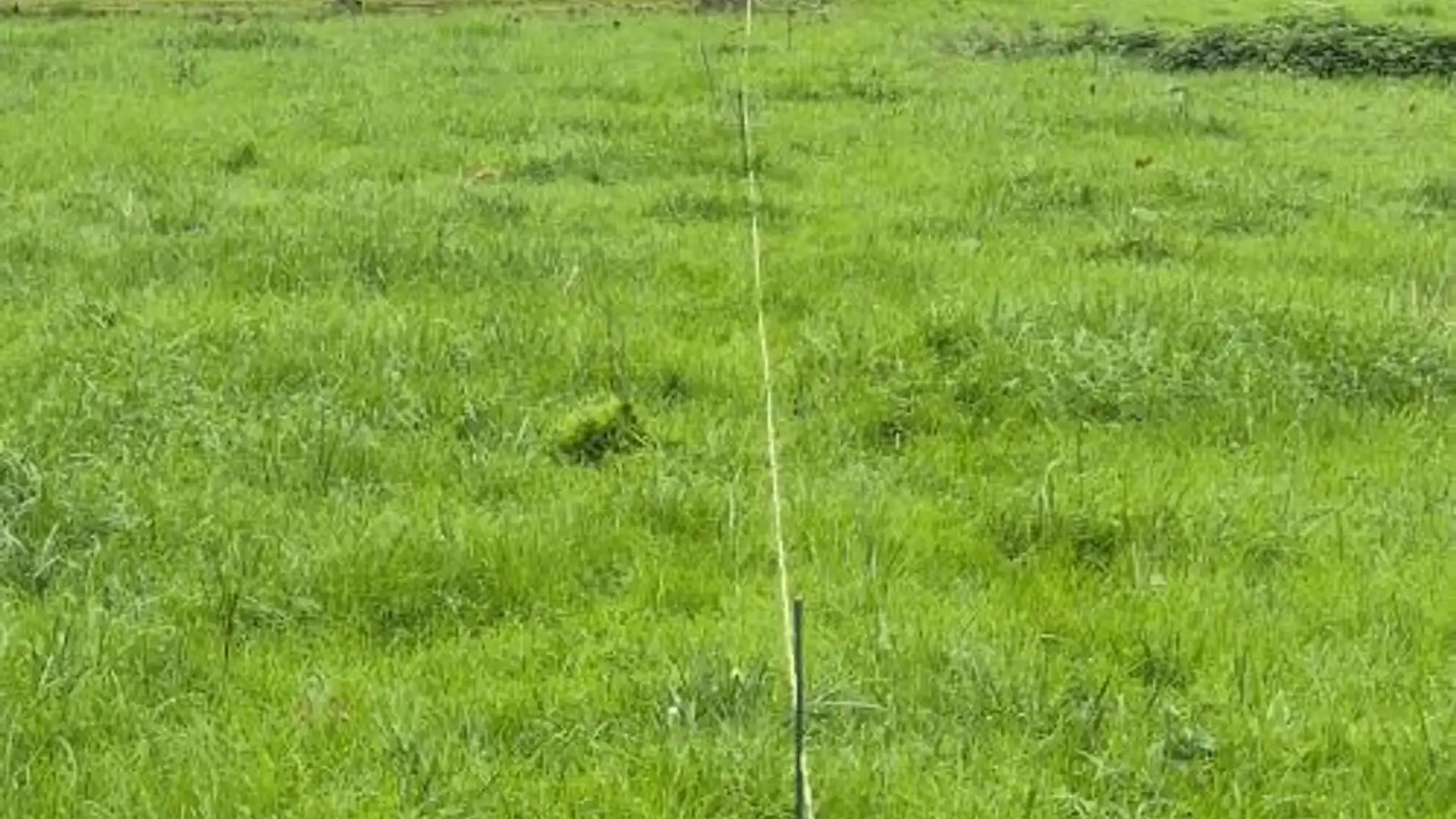 Finca rústica en  Lugar Godos 9 - Foto 9