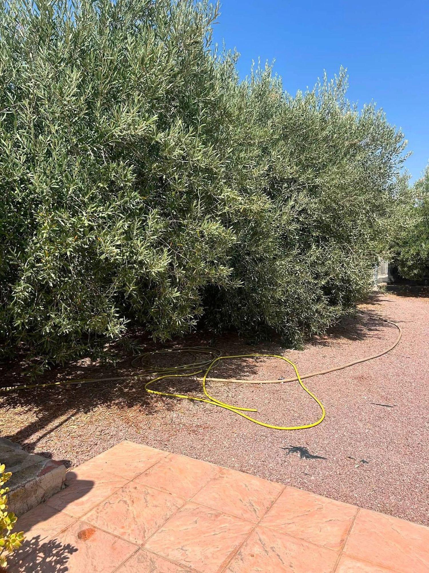 Casa o chalet independiente en Camino Naranjo, 8, Pedanías Oeste, Pedanías Oeste - Foto 23