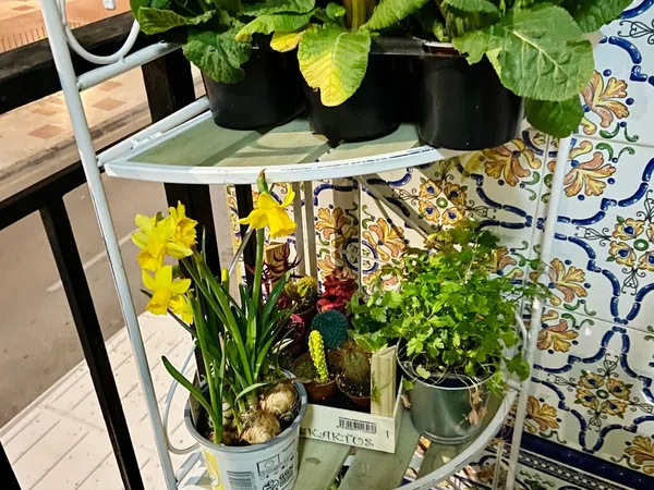 Piso en paseo de los Tilos, 57 - Foto 10