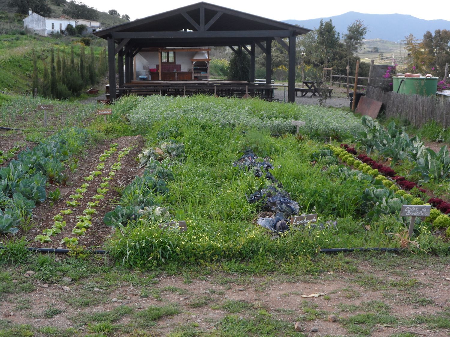 Casa rural en Paraje Amasaderos, 200 - Foto 9