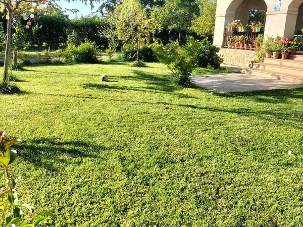 Casa o chalet independiente en Ronda de las Encinas, 115 - Foto 7