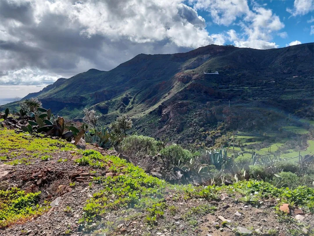 Finca rústica en calle Calle Espíritu Santo 15 - Foto 47