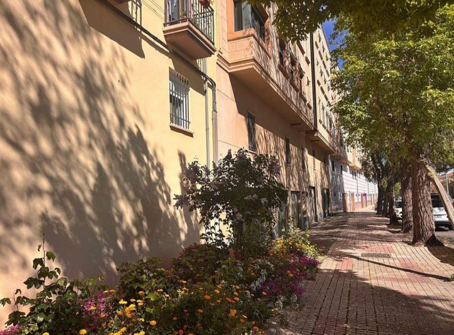Piso en paseo del Rector Esperabé, 32 - Foto 26