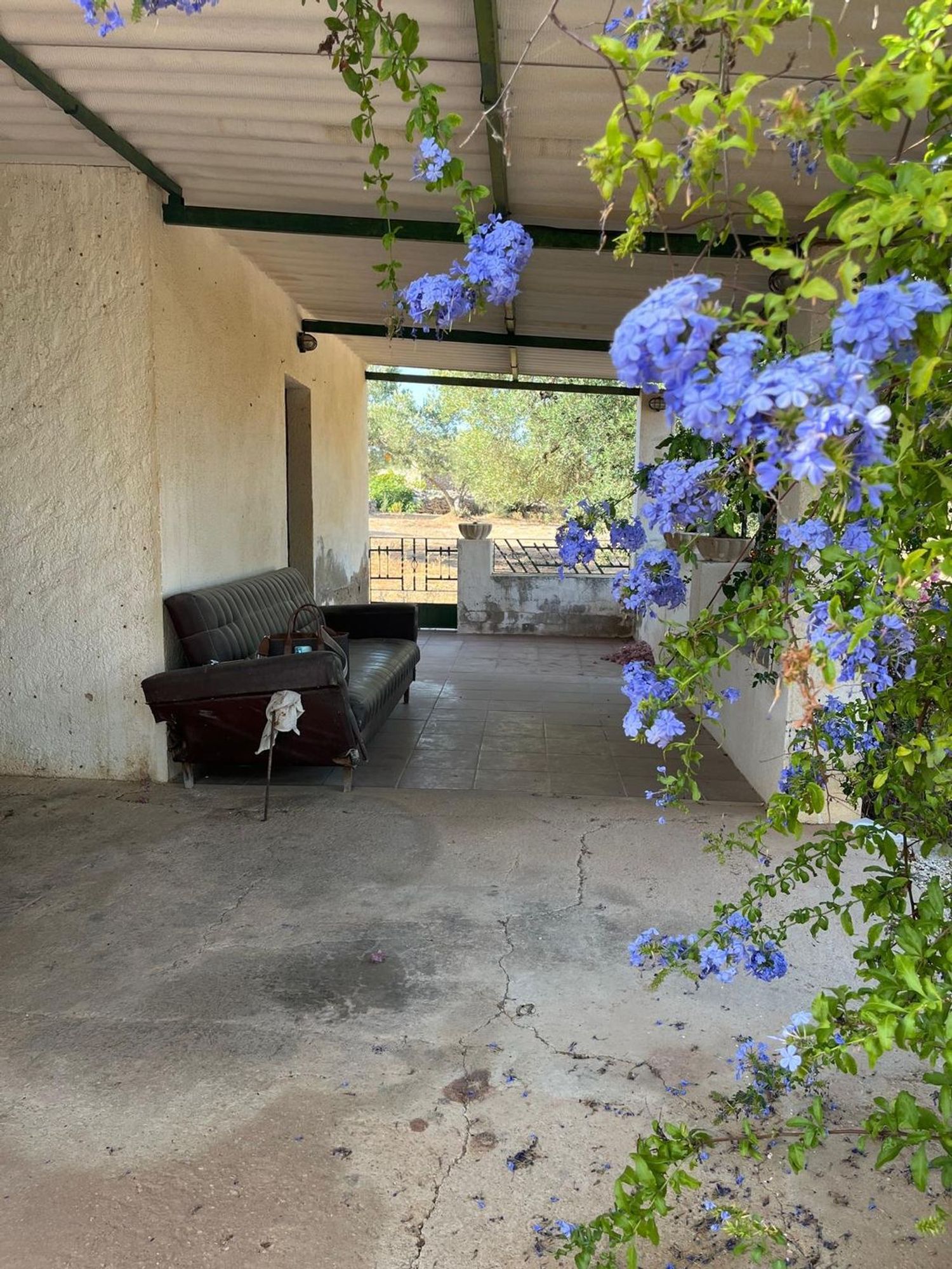 Casa o chalet independiente en Camino de Mossèn Vicent, 29 - Foto 6