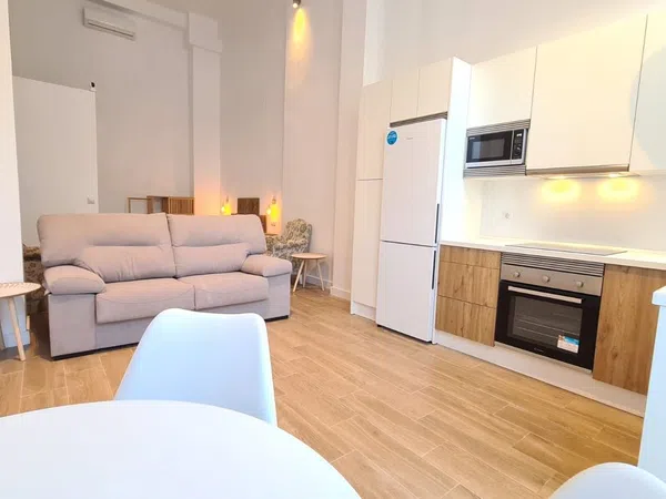 Estudio en Calle Cristino Martos, 13 - Foto 1