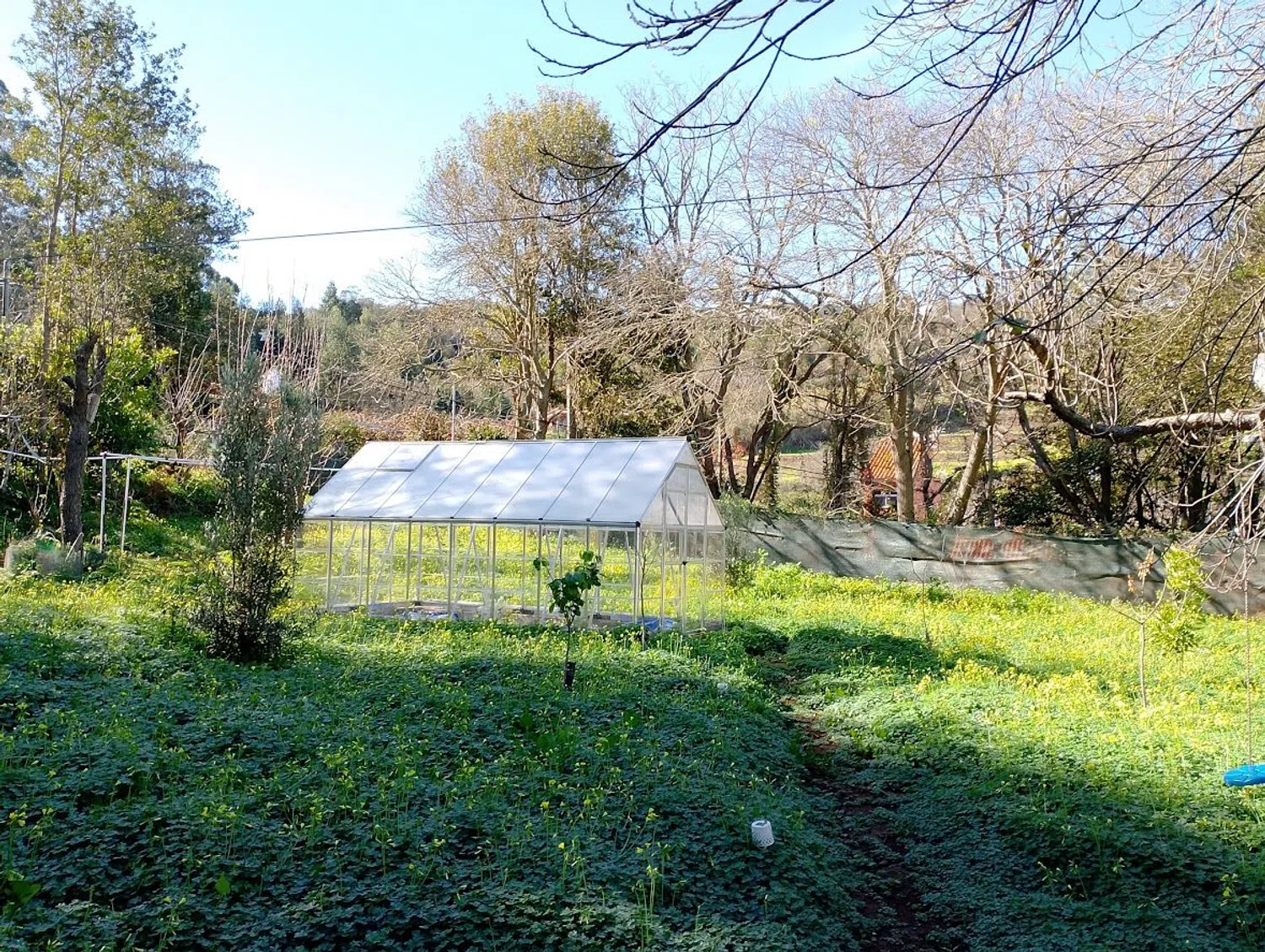 Finca rústica en camino el Laurel, 5555 - Foto 9