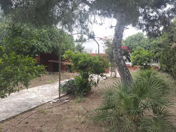 Casa o chalet independiente en La Huerta - Foto 28